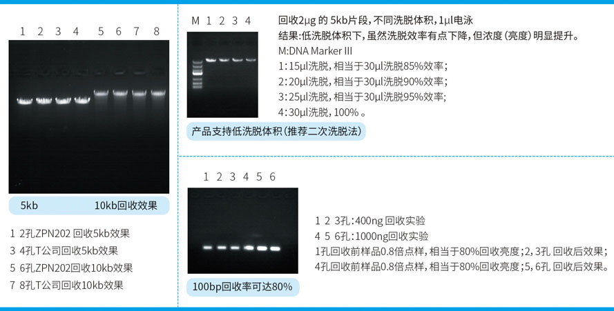 微柱膠回促銷(xiāo) 官網(wǎng).jpg