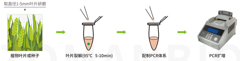 22.9.29 植物擴(kuò)增圖2.jpg
