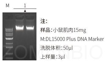 23 ZP332圖1.jpg 圖片