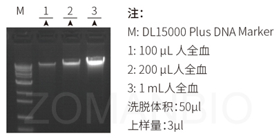 23 ZP331圖.jpg 圖片