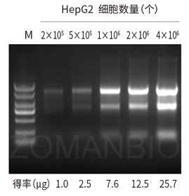 23 ZP433圖2.jpg 圖片