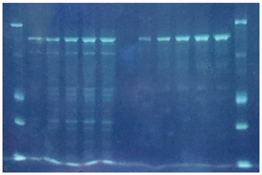 23.7.19 ZS310M制膠液.jpg 圖片