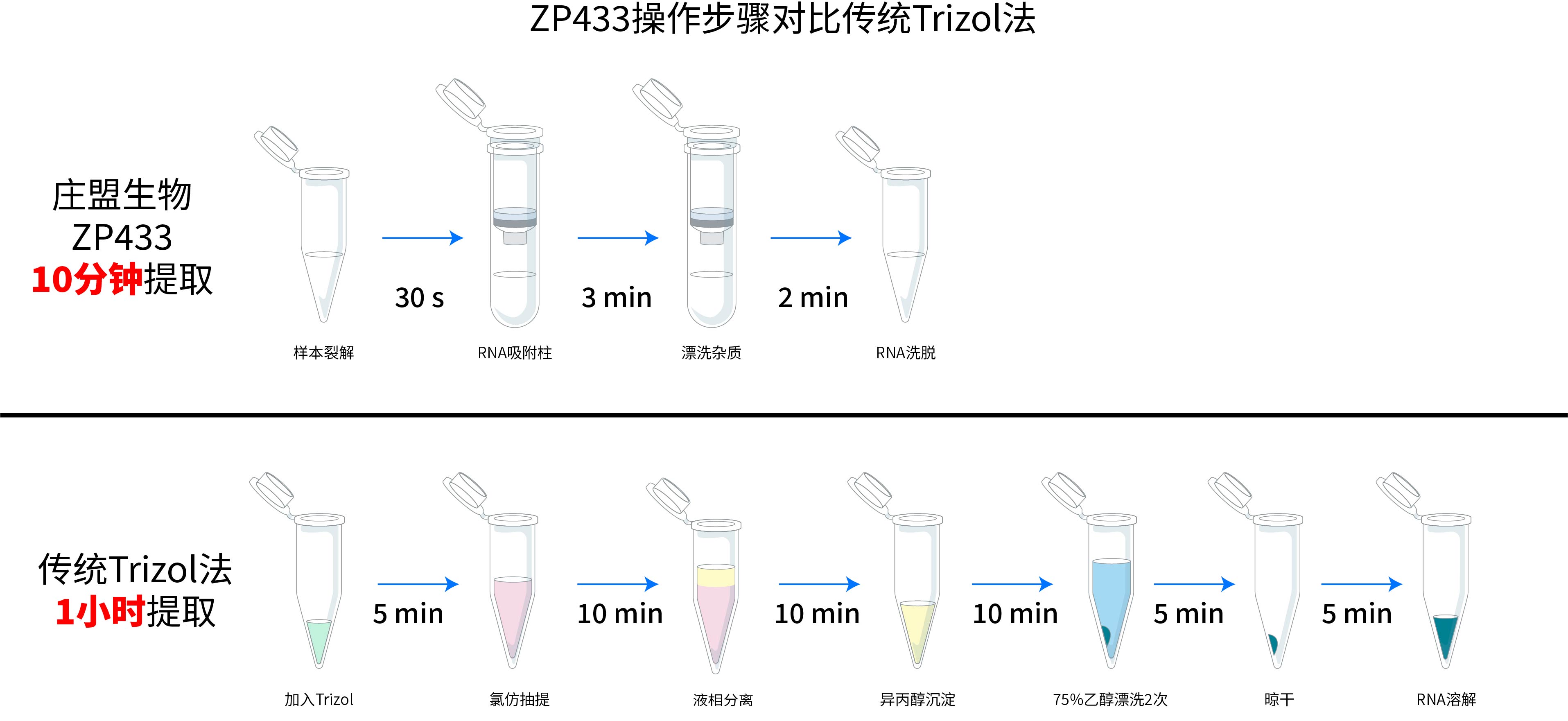 ZP441實(shí)驗(yàn)步驟與Trizol對(duì)比-02.jpg